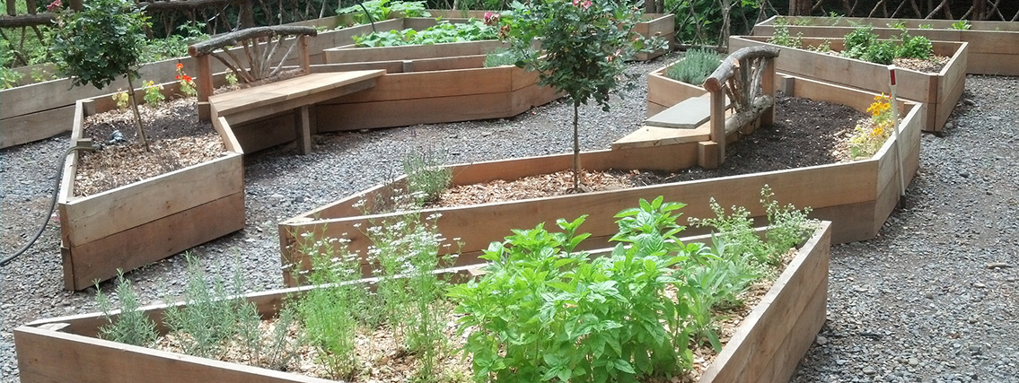 Raised Garden Beds